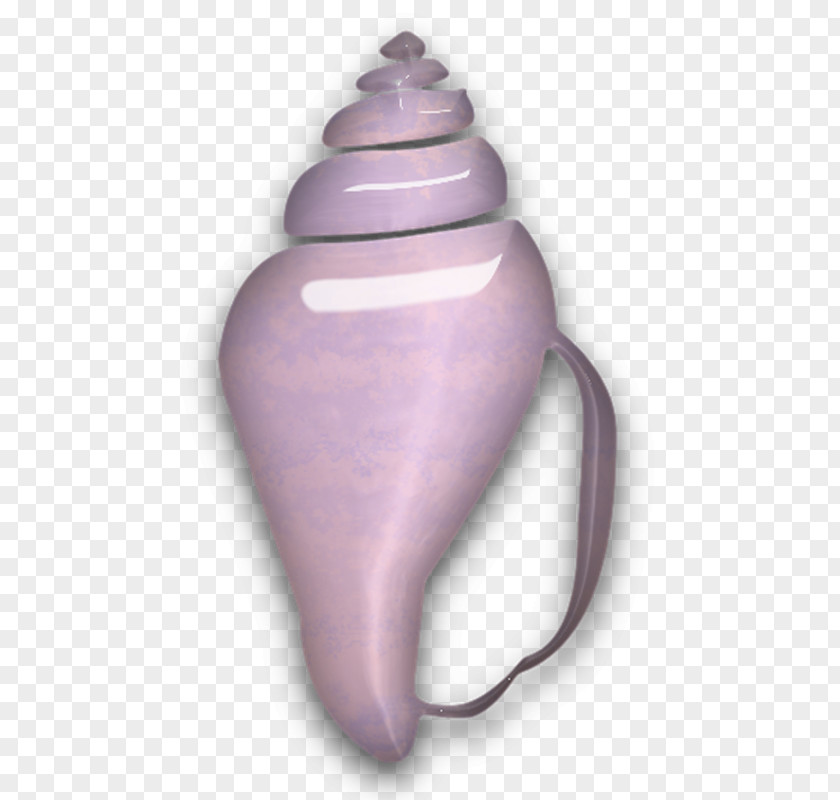 A Conch Sea Snail Seashell PNG