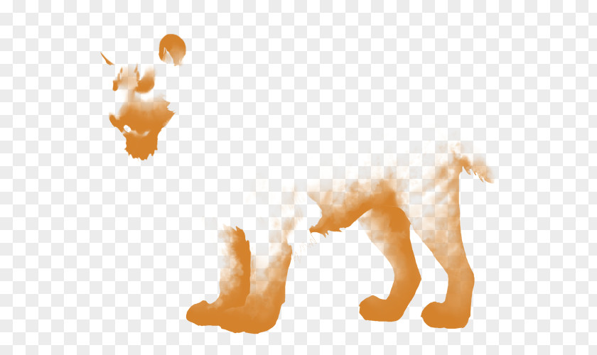 Dog Cat Desktop Wallpaper Snout Tail PNG
