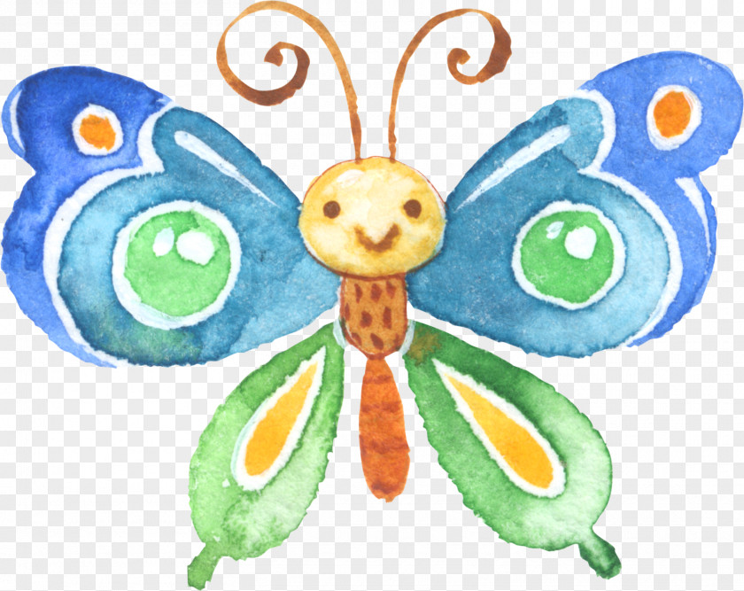 Drawing Butterfly Cartoon PNG