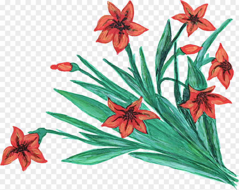 Hippeastrum Pedicel Flower Flowering Plant Red Petal PNG
