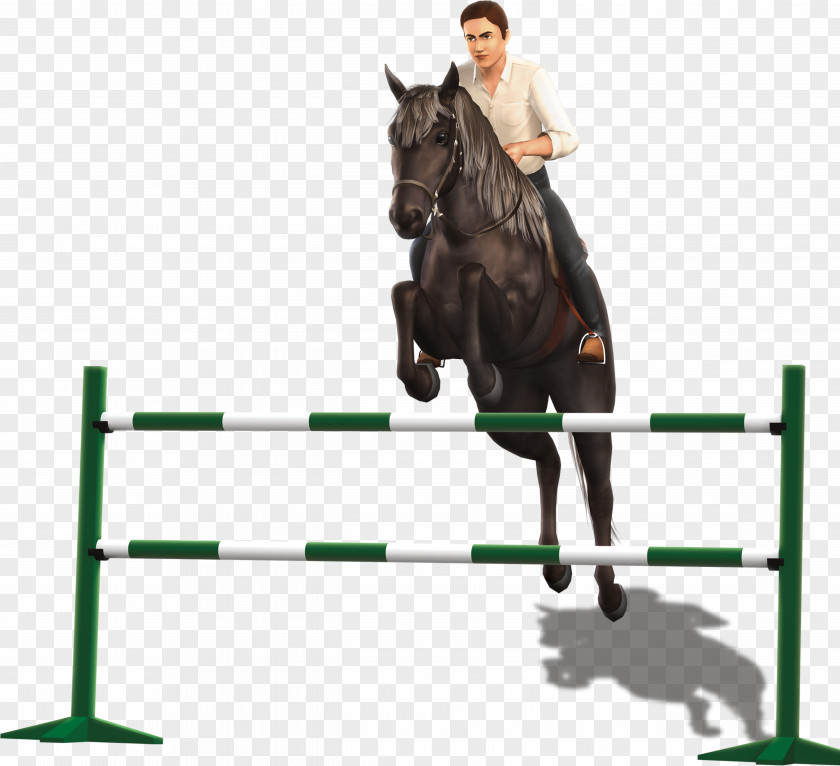 Sims 3 Pets Show Jumping The 3: Horse Hunt Seat Stallion PNG