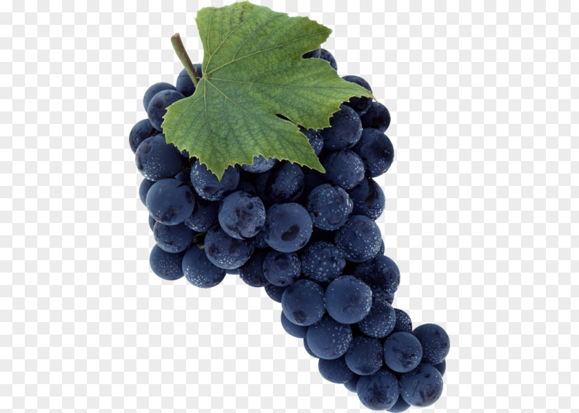 Wine Merlot Grape Sultana PNG