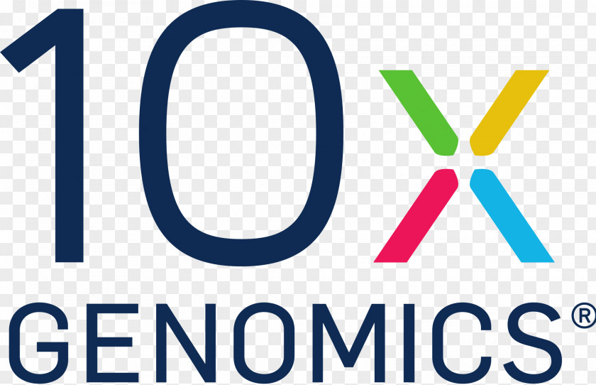 10X Genomics Computational Biology Sequencing PNG