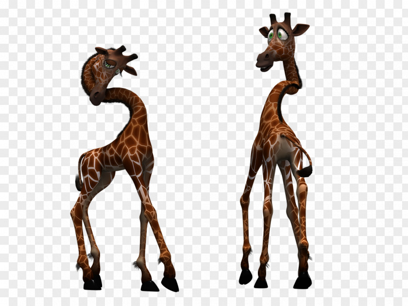 Giraffe Clip Art PNG