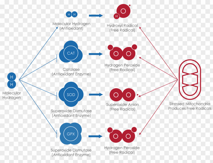 Pareto Efficiency Antioxidant Dihydrogen Molecule Radical PNG