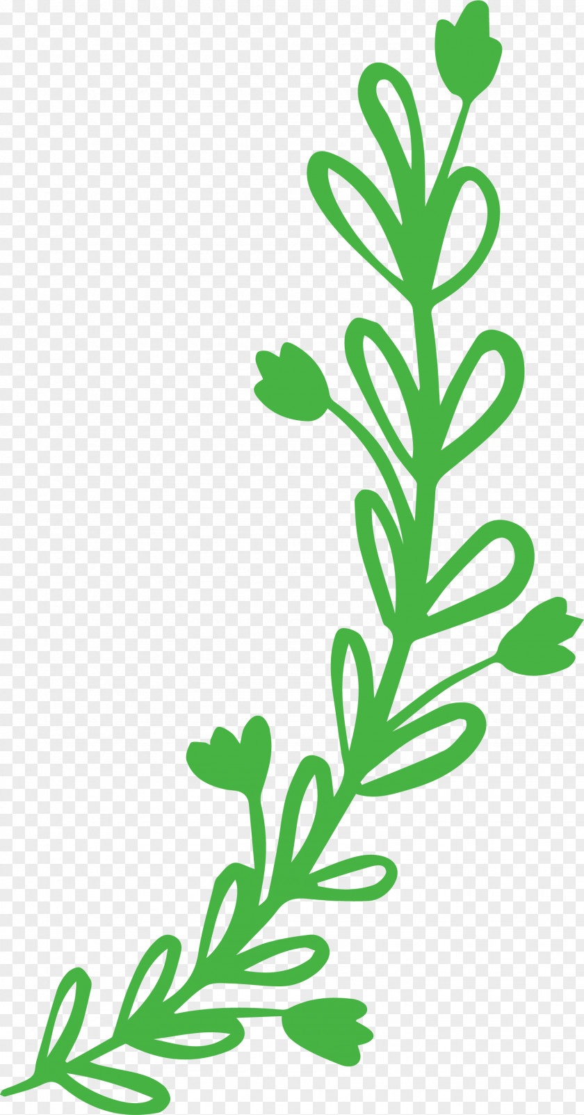 Plant Stem Leaf Vegetable Flower Meter PNG