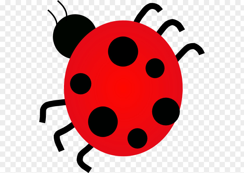 Pretty Bug Cliparts Ladybird Free Content Drawing Clip Art PNG