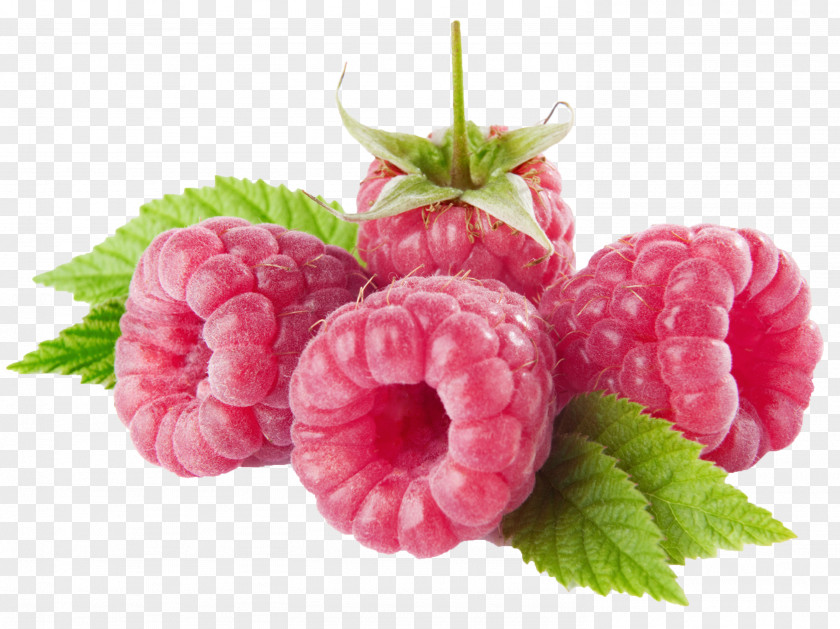 Raspberry Red Clip Art PNG
