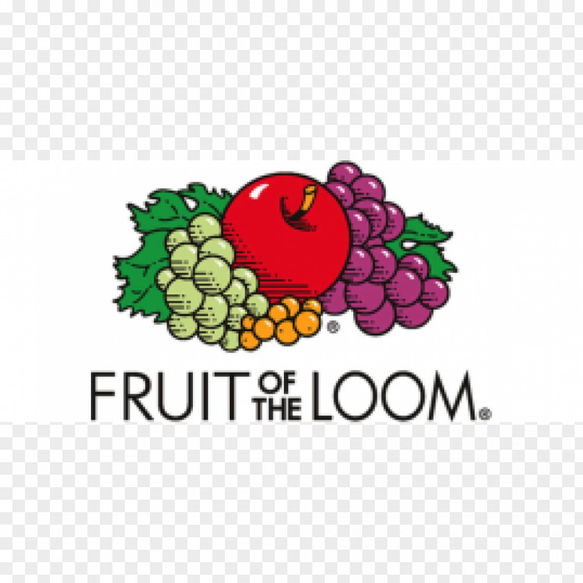 T-shirt Fruit Of The Loom Clothing Hoodie PNG
