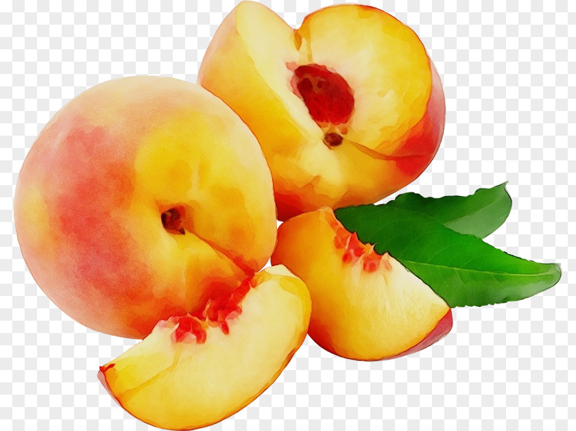 Apple Nectarines Natural Foods Fruit Food European Plum Plant PNG