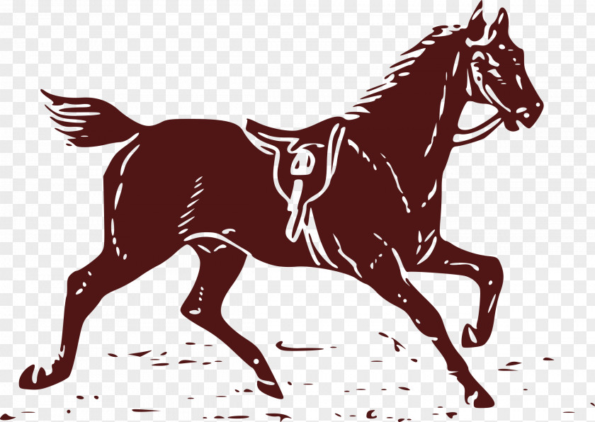 Donkey American Paint Horse Saddle Equestrian Riding Clip Art PNG