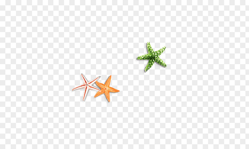 Starfish Pictures Gratis Clip Art PNG