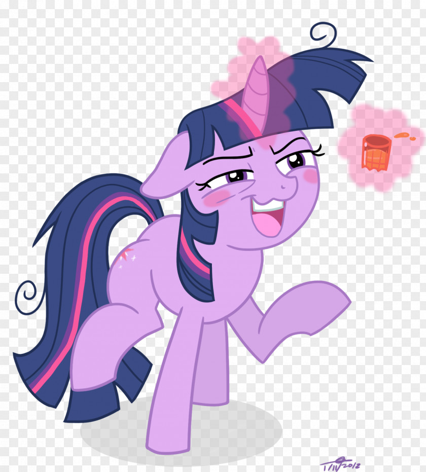 Twilight Sparkle Pinkie Pie Applejack Rarity Rainbow Dash PNG
