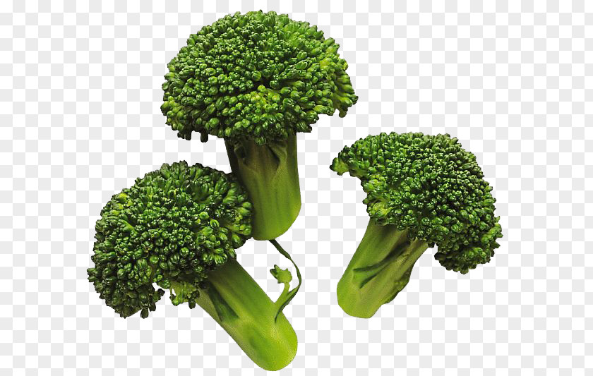 Broccoli Image Vegetable Cabbage PNG