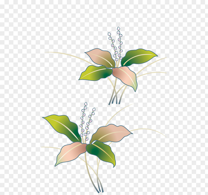 Cartoon Leaves Design Image Drawing Creativity Animation PNG