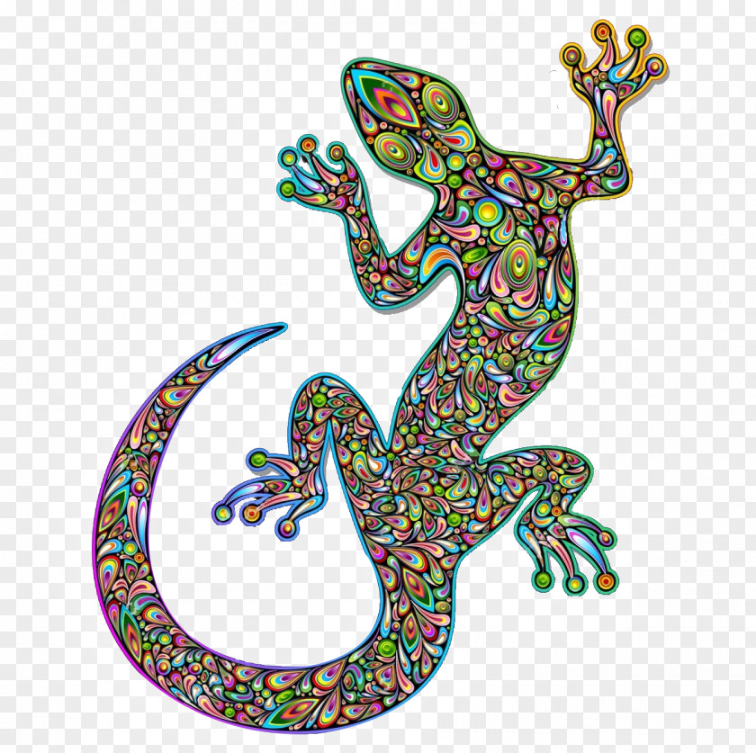 Gecko Lizard Tokay Reptile PNG