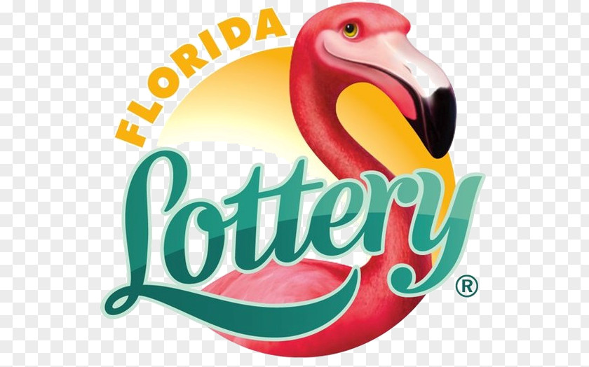 Lottery Florida Scratchcard Mega Millions PNG