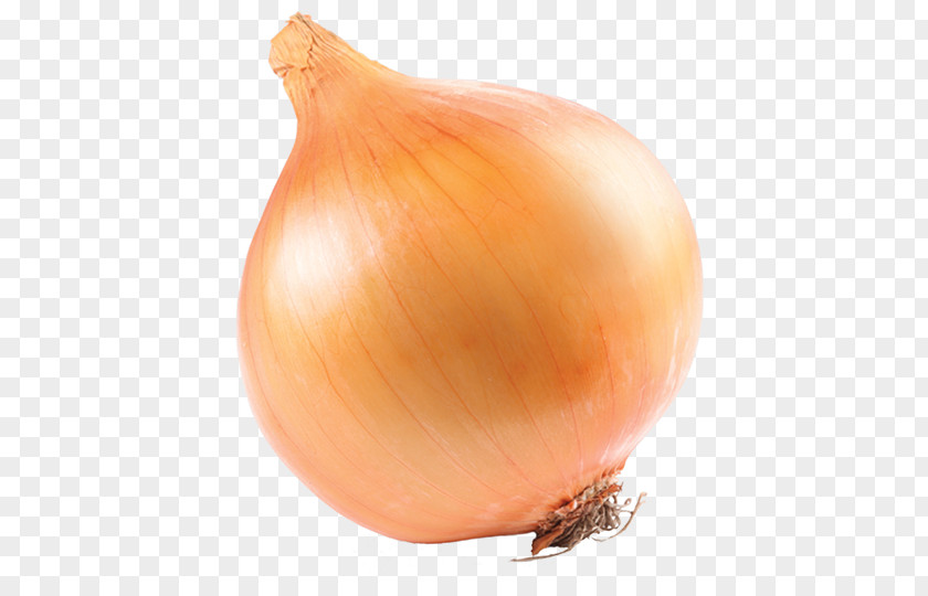 Onion Yellow Red Pearl White PNG