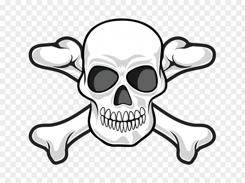 Personality Skull Human Symbolism And Crossbones Jolly Roger PNG