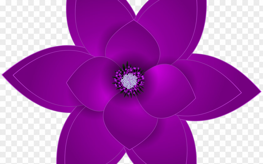 Purple Rainbow Roses Clip Art Petal Flower Image Violet PNG