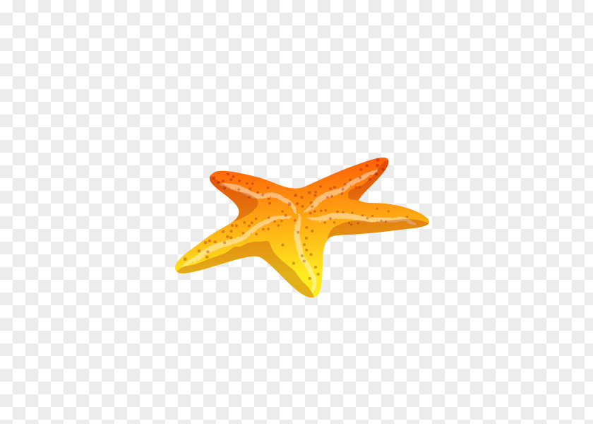 Starfish Euclidean Vector PNG