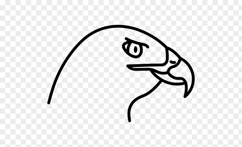 Bird Basabizitza Beak Clip Art PNG