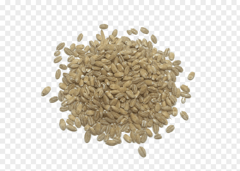 Breakfast Cereal Quinoa Barley Food Grain PNG