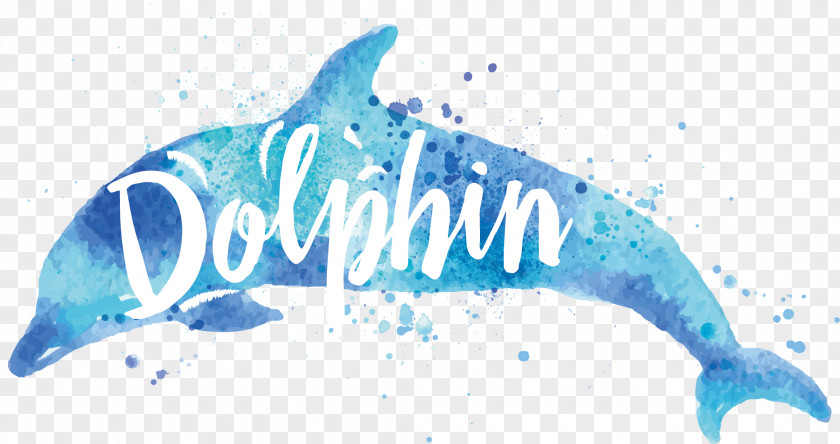 Dolphin Vector Drawing Watercolor Painting PNG