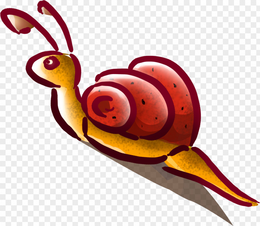 Snails Gastropods Snail Caracol Clip Art PNG