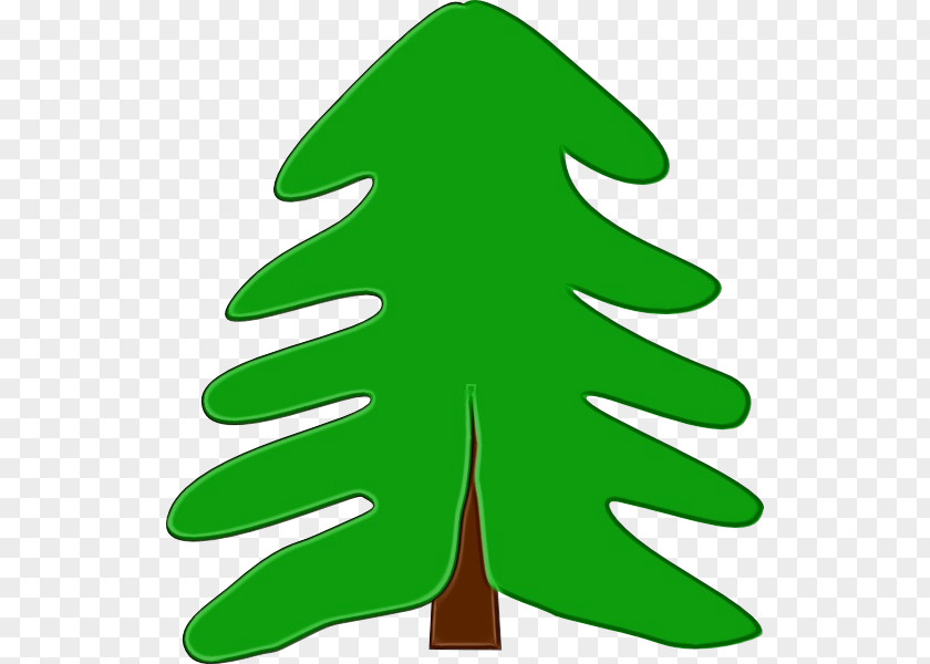 White Pine Conifer Christmas Tree Watercolor PNG