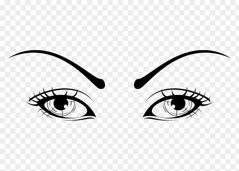 Eye Eyebrow Eyelash Nose Clip Art PNG