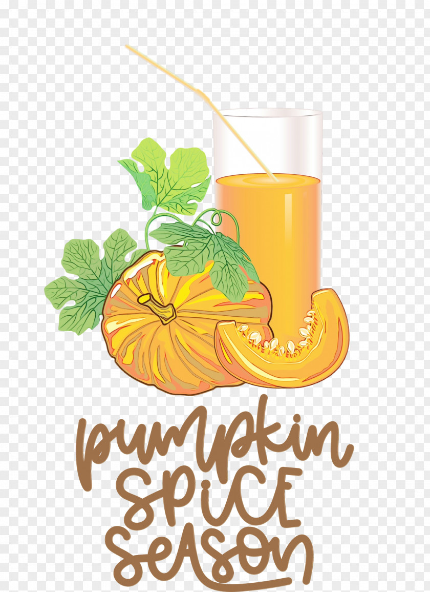 Fruit Juice PNG