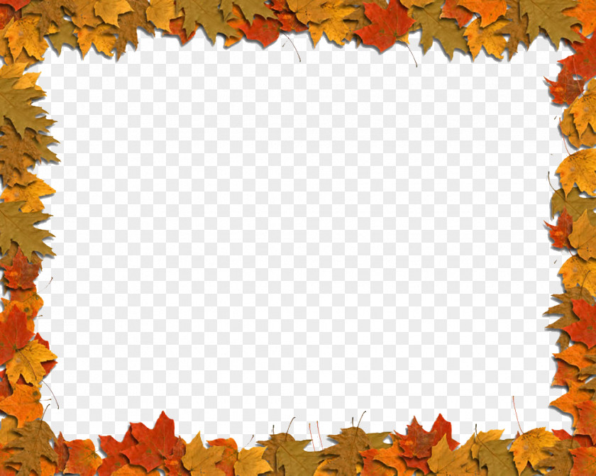 Maple Leaf Border Autumn Color Clip Art PNG