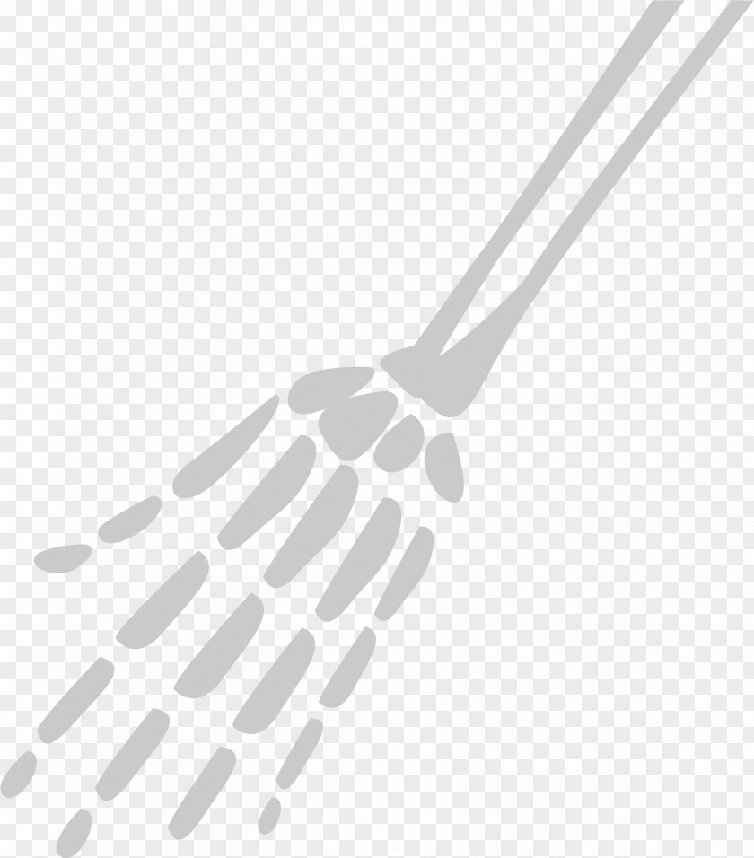 Palmar Skeleton Photography Drawing Clip Art PNG