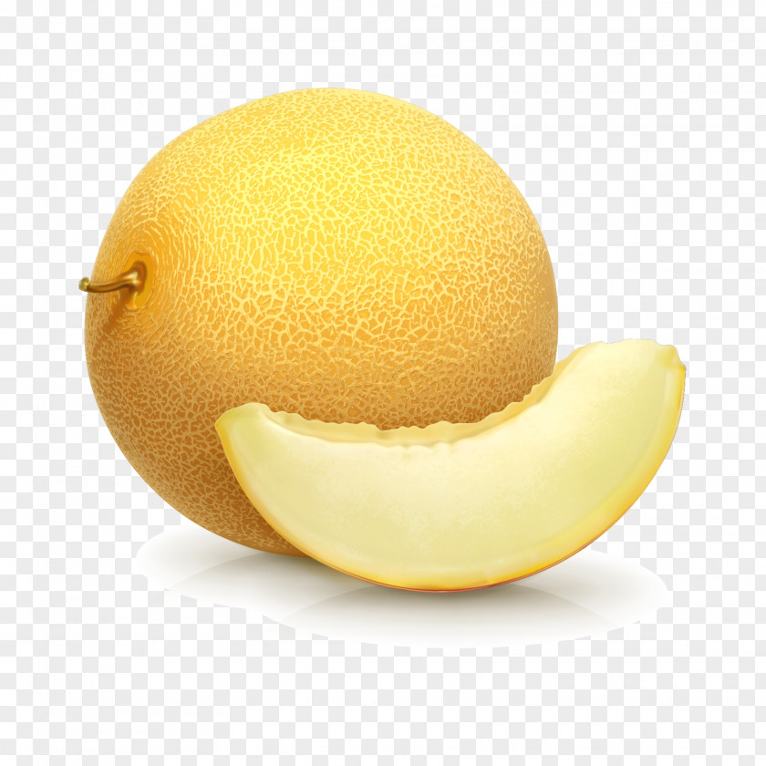 Vector Realistic Yellow Melon Euclidean Fruit Cantaloupe Illustration PNG