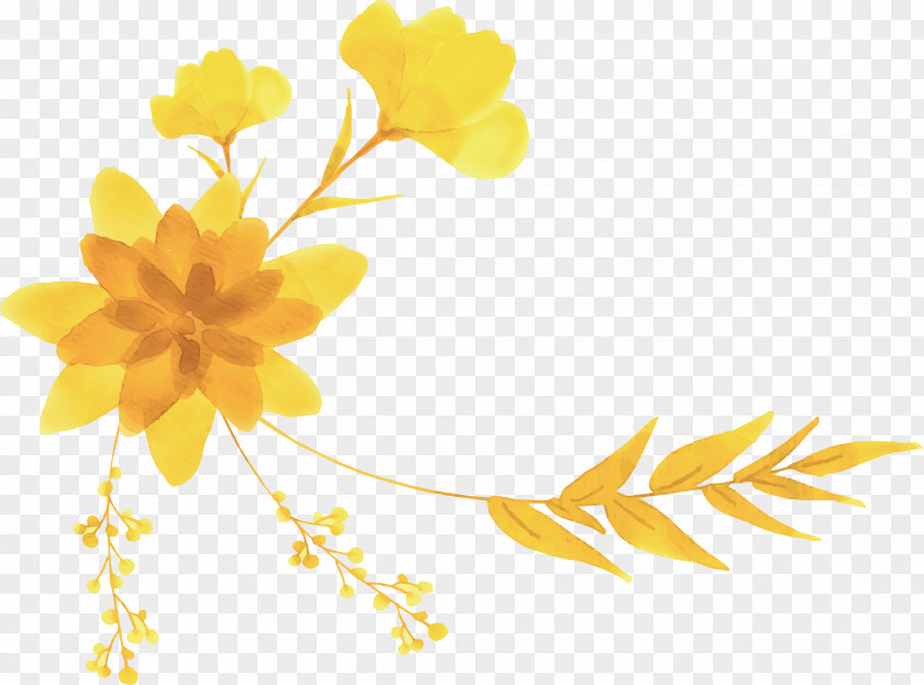 Hand Painted Yellow Bouquet Header Box Flower Designer PNG