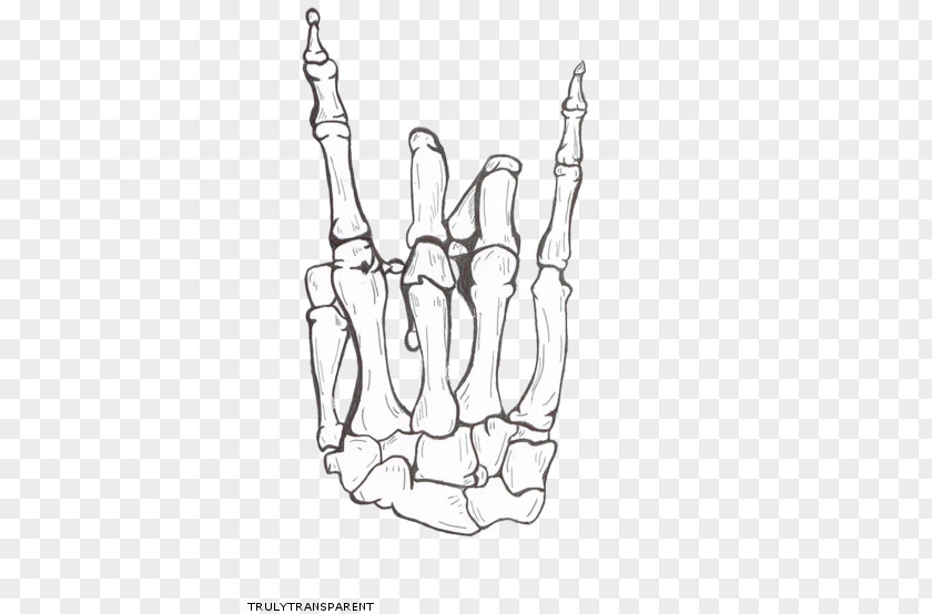 Skeleton Drawing Praying Hands Human PNG
