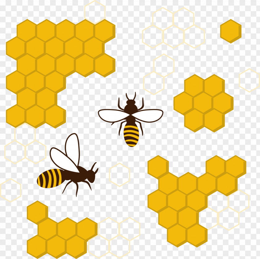 Vector Bee Honey Honeycomb Insect Clip Art PNG