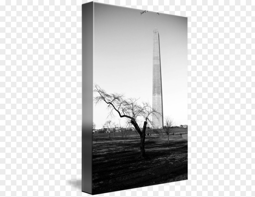 Washington Monument Stock Photography White Sky Plc PNG