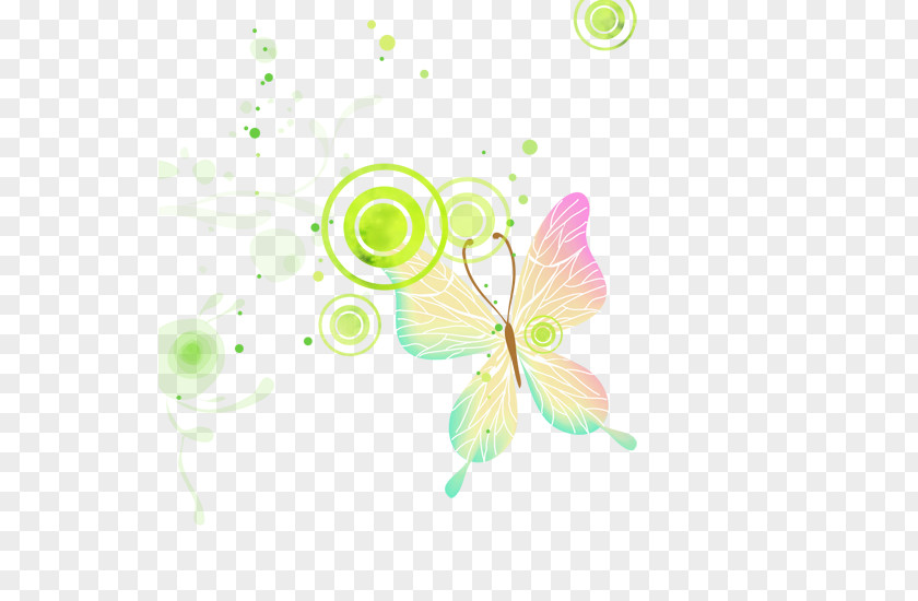 Butterfly Graphic Design Text Petal Illustration PNG