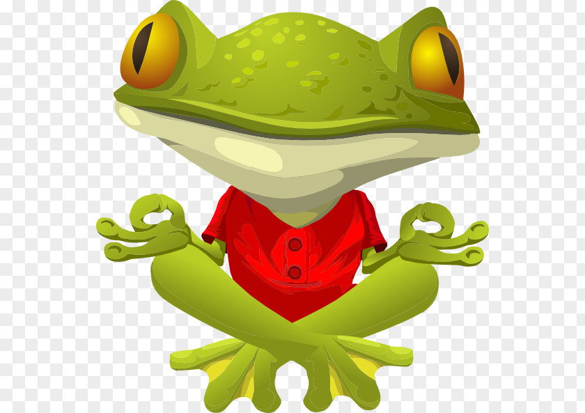 Frog Lithobates Clamitans Yoga Clip Art PNG