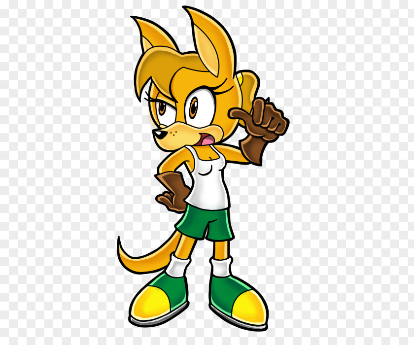 Hedgehog Sonic The Dash 2: Boom Kangaroo Rat PNG