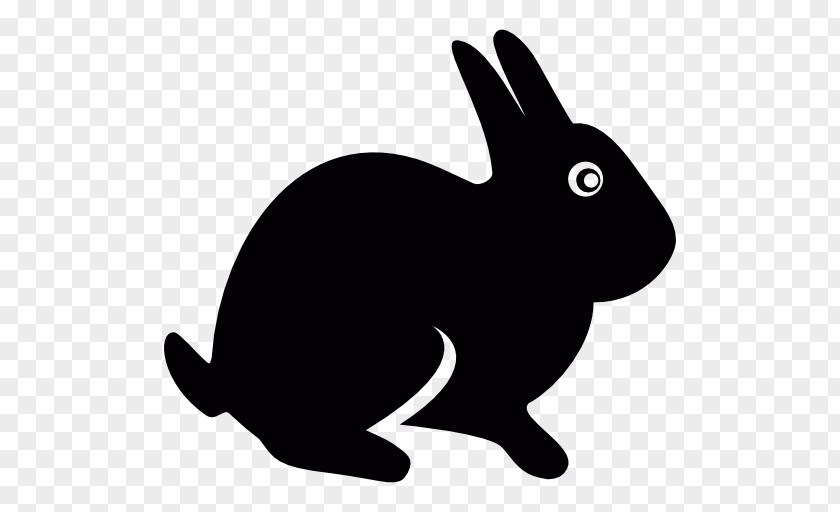 Rabbit Clip Art PNG