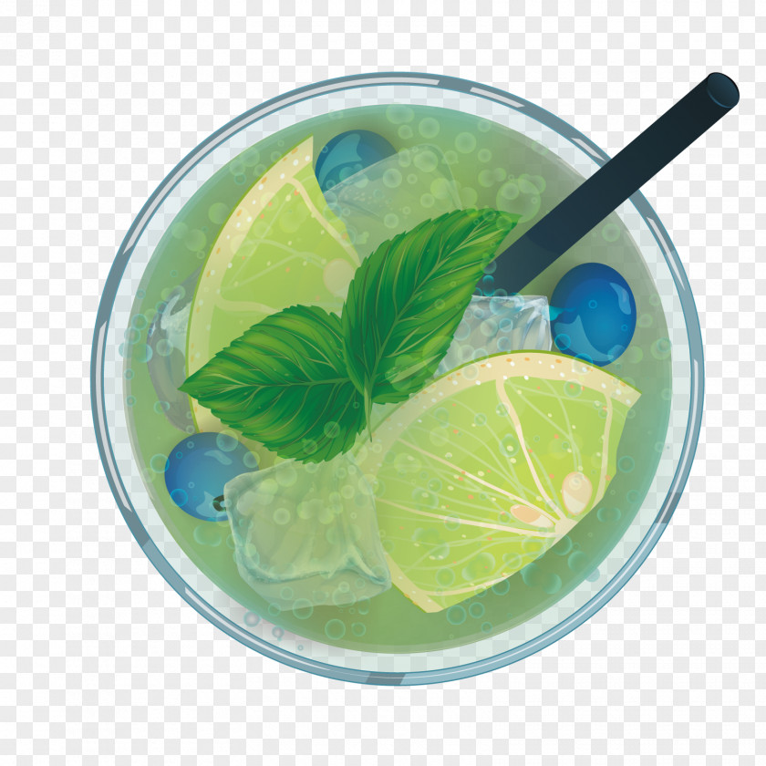 Vector Mint Water Lime Download PNG