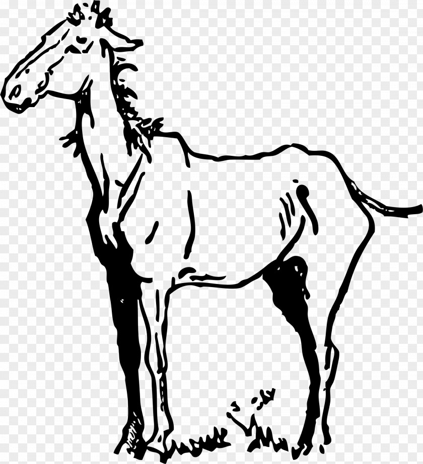 American Quarter Horse Friesian Equestrian Clip Art PNG