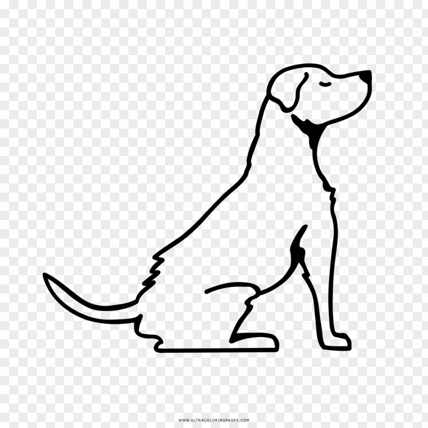 Cat Drawing Labrador Retriever German Shepherd Line Art PNG