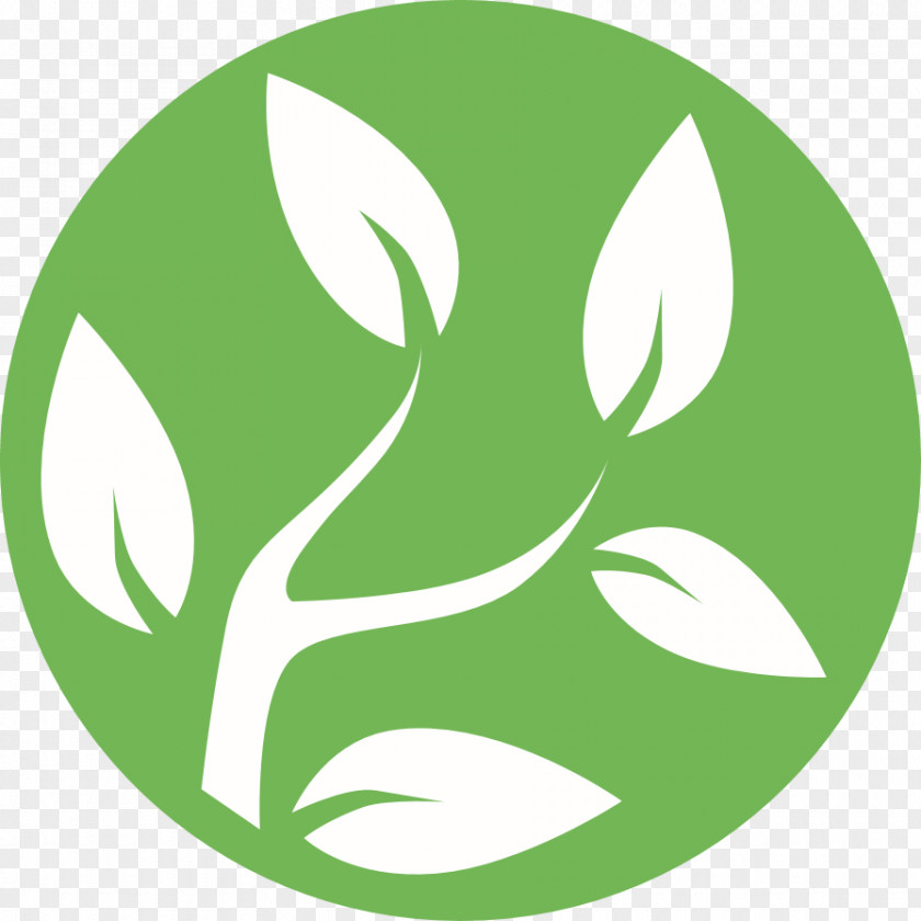 Ecologie Peace Lille 0 Clip Art Ecology PNG