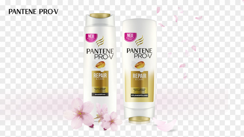 Hair Pantene Hairstyle Locken Shampoo PNG