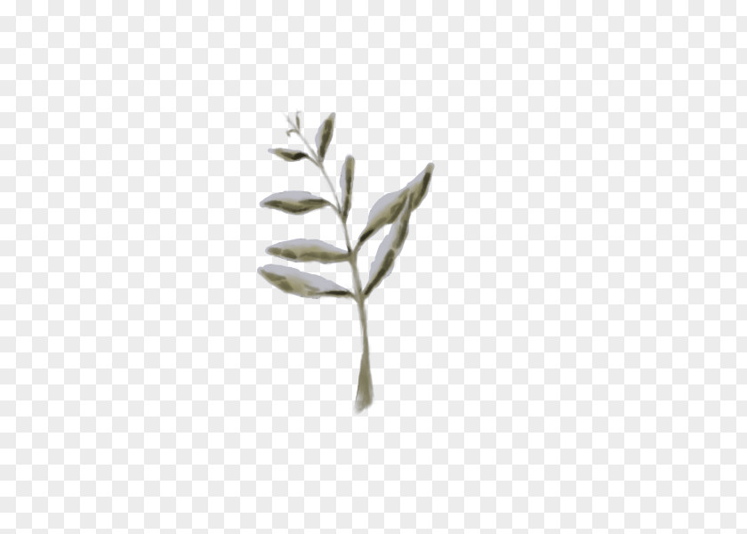 Leaf Plant Stem Twig Tree Commodity PNG
