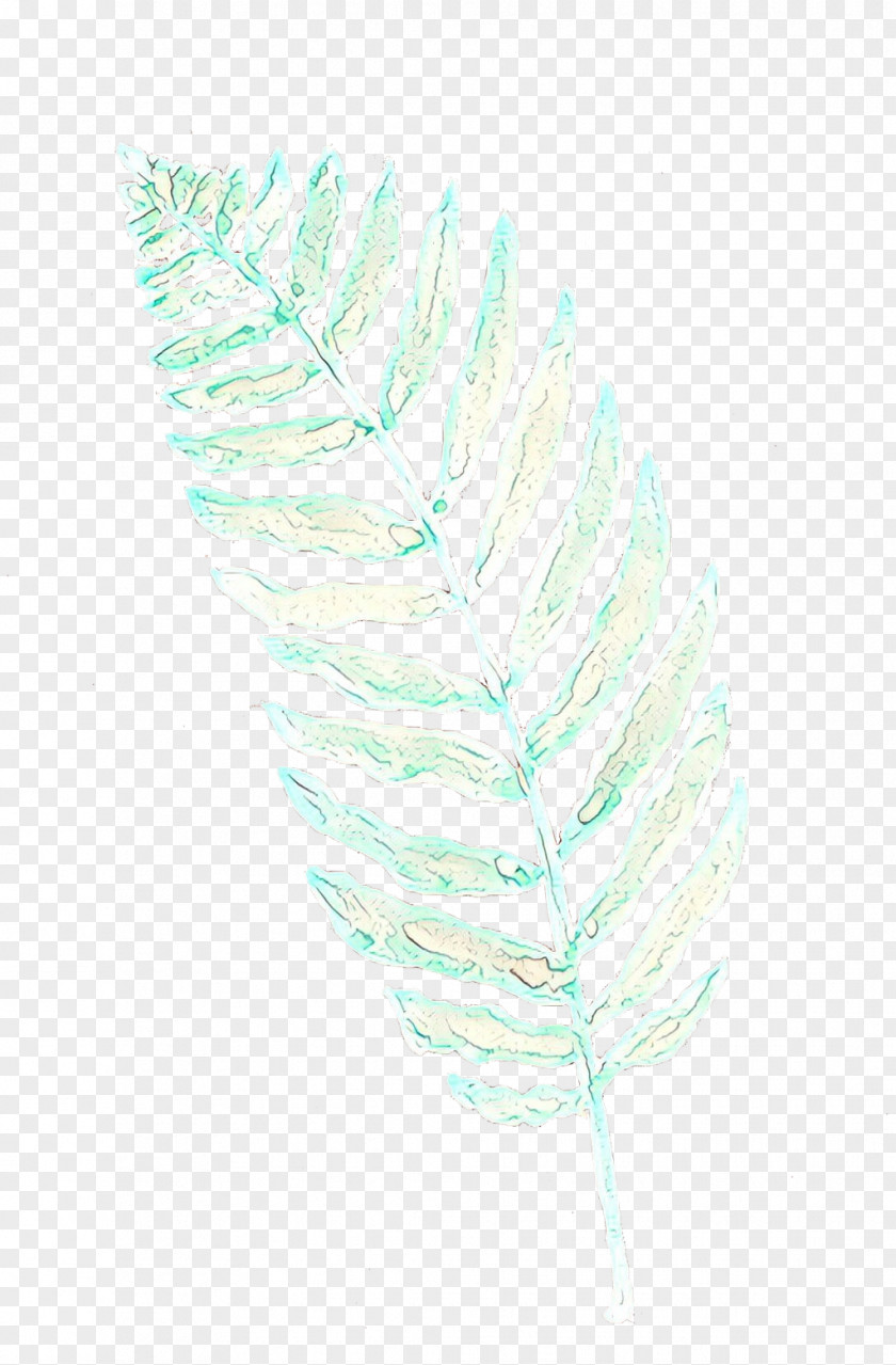 Quill Turquoise Line Feather PNG